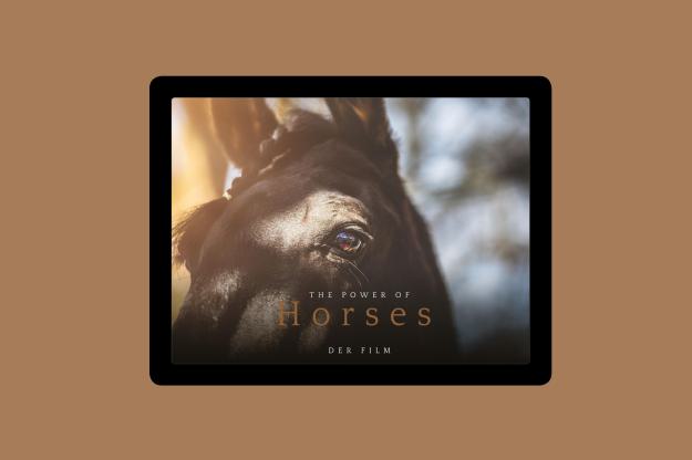 The Power of Horses